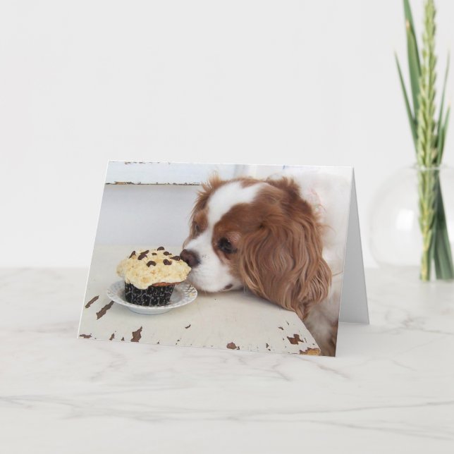 Tarjeta Cavalier King Charles Spaniel Cupcake del viernes (Anverso)