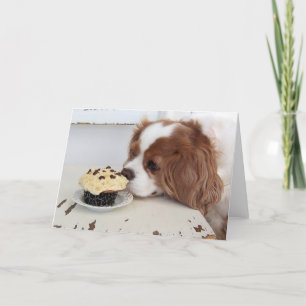 Tarjeta Cavalier King Charles Spaniel Fridays Cupcake