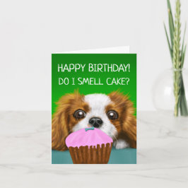 Tarjeta Cavalier King Charles Spaniel "¿Huelo Pastel?"