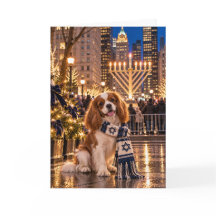 Cavalier King Charles Spaniel Janucá Nueva York