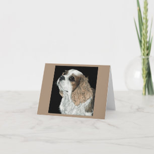 Tarjeta Cavalier King Charles Spaniel - Max