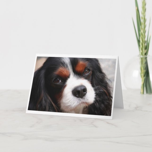 Tarjeta Cavalier King Charles Spaniel Mom (Anverso)