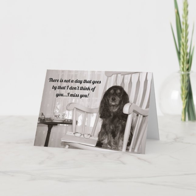 Tarjeta Cavalier King Charles Spaniel negro y atigrado te  (Anverso)