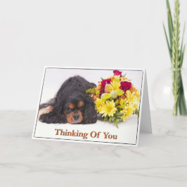 Tarjeta Cavalier King Charles Spaniel Pensando en 