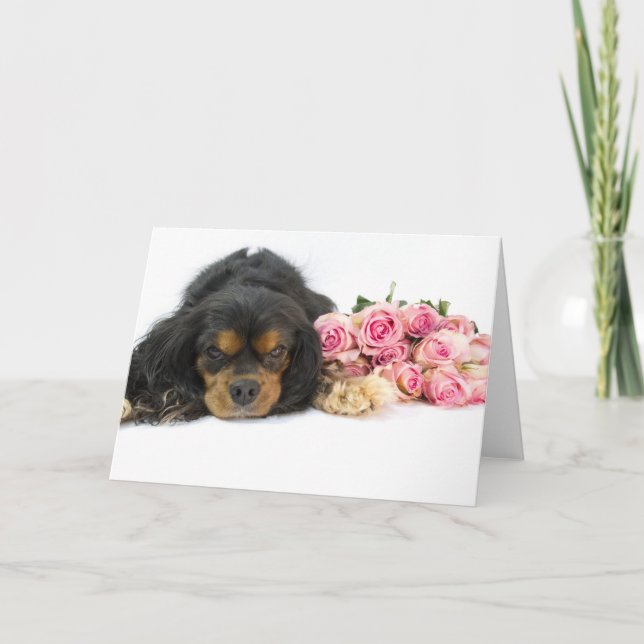 Tarjeta Cavalier King Charles Spaniel Rosas Rosadas Manta  (Anverso)