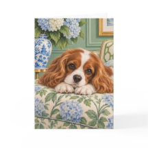 Cavalier King Charles Spaniel Saludo