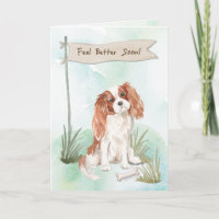 Cavalier King Charles Spaniel se siente mejor con