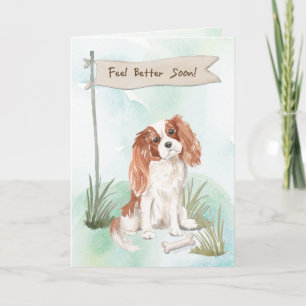 Tarjeta Cavalier King Charles Spaniel se siente mejor con