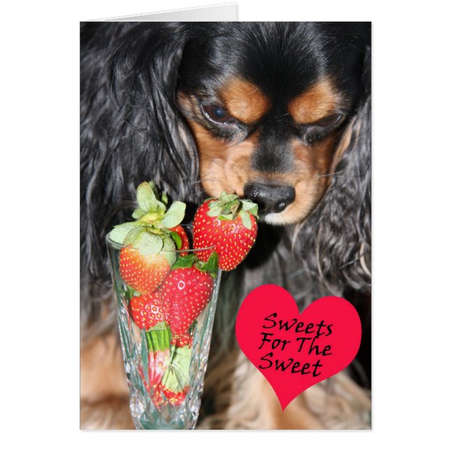 Tarjeta Cavalier King Charles Spaniel Strawberries (Frente)