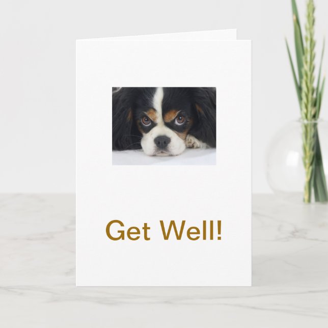 Tarjeta Cavalier King Charles Spaniel Tri Get Well Card (Anverso)