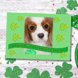 Tarjeta Cavalier King Charles Spaniels Día de San Patricio