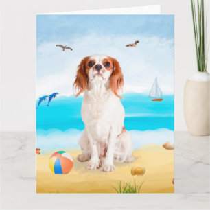 Tarjeta Cavalier King Dog en la playa