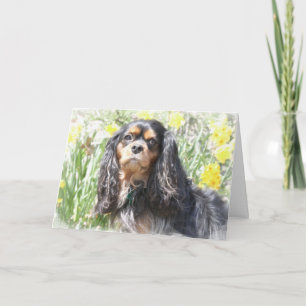 Tarjeta Cavalier pintado King Charles Spaniel Coche de Sal