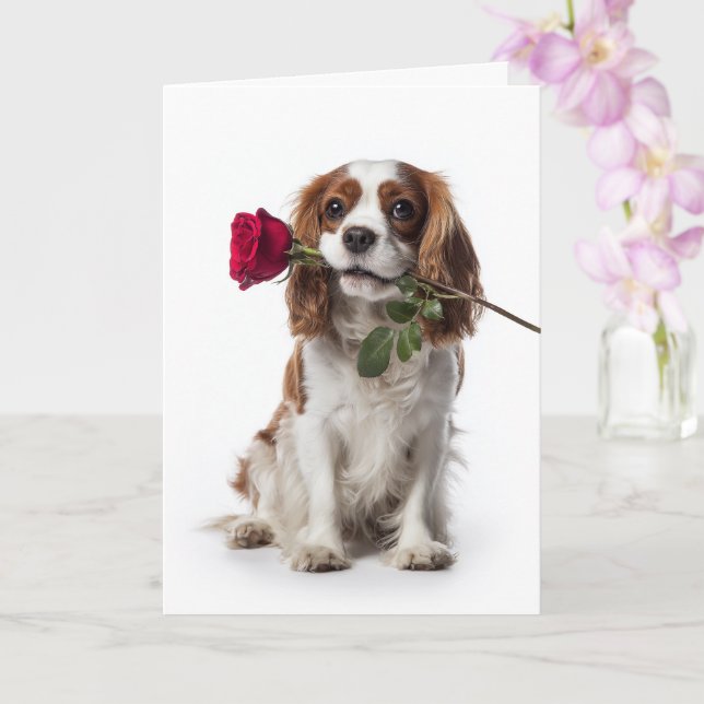 Tarjeta Cavalier Spaniel Valentine (Orquídea)