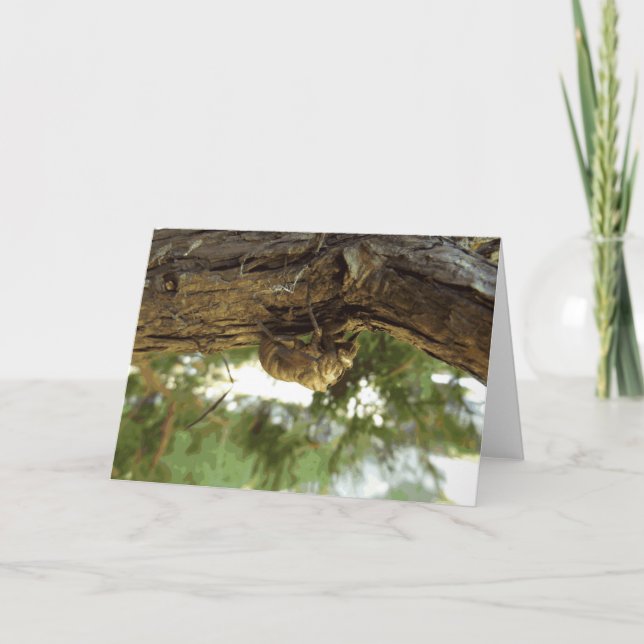 Tarjeta Caza de Cicada. Tenía prisa. (Anverso)