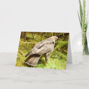 Tarjeta Cazador de Grillos de Bosque Naturaleza Arte