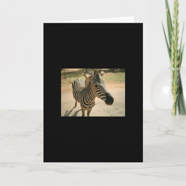 Tarjeta Cebra (Anverso)