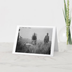 Tarjeta Cebra asesinada por nativos en África. Fotografía