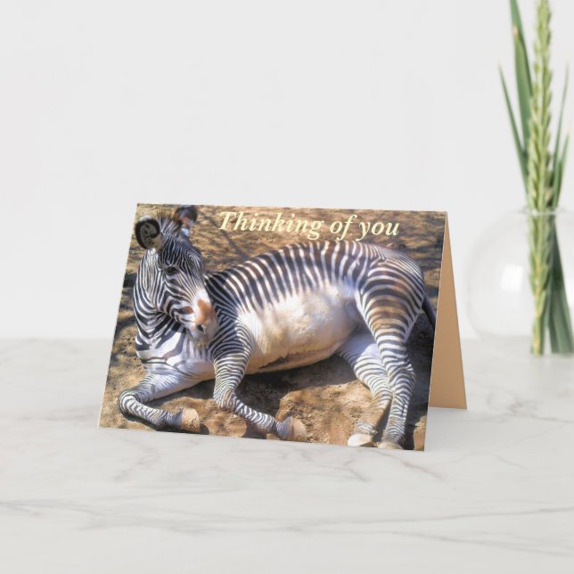 Tarjeta Cebra de amor_ (Anverso)