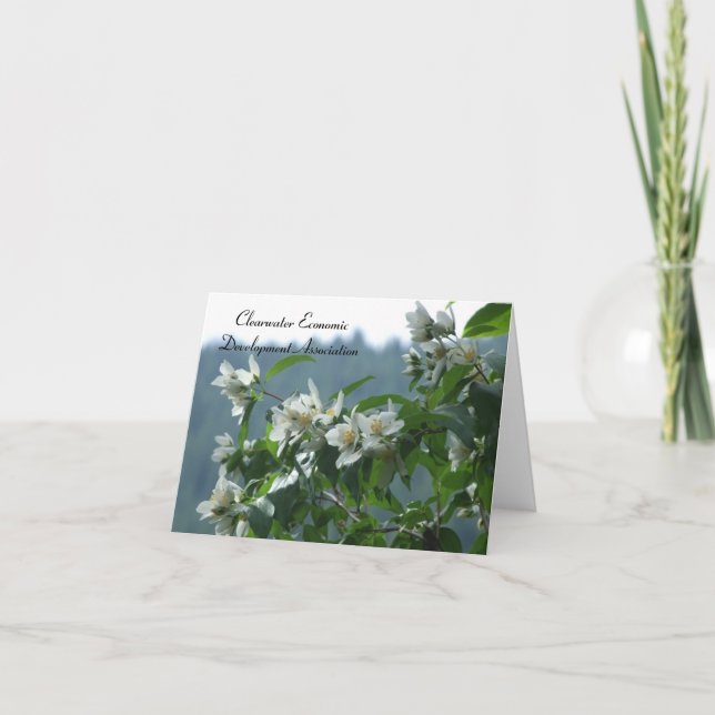 Tarjeta CEDA - Syringa (Anverso)