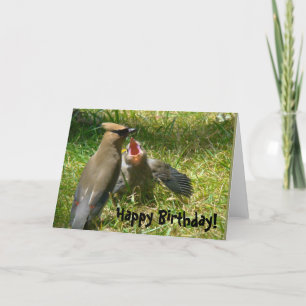 Tarjeta Cedar Waxwing Family Birday Card