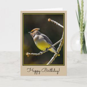 Tarjeta Cedar Waxwing Songbird Foto original de ave silves