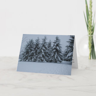 Tarjeta Cedros Nevado del invierno