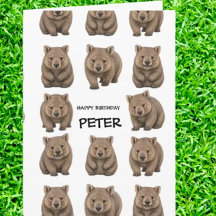  Celebración con tema de wombat 