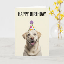 Celebración de Cumpleaños de Labrador Retriever