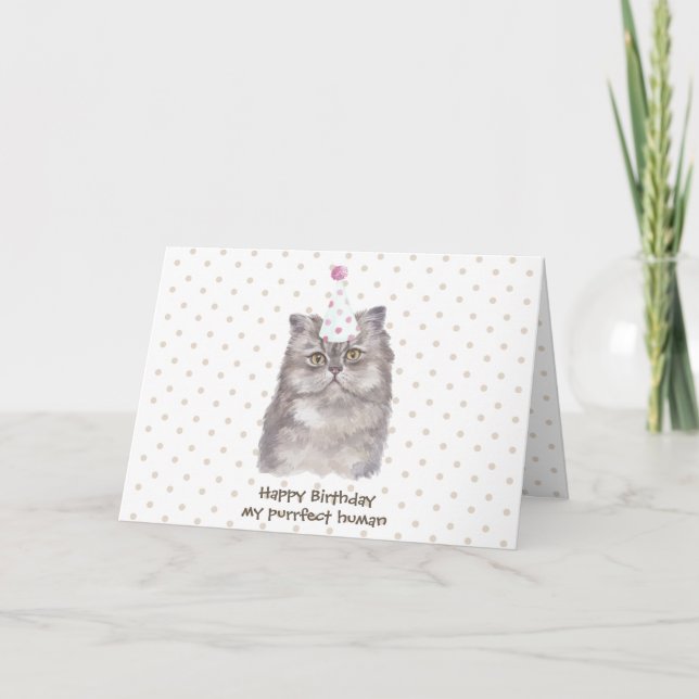 Tarjeta Celebración del partido Cumpleaños de Gato Persa (Anverso)
