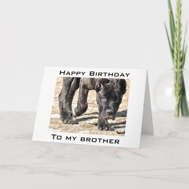 TARJETA CELEBRAMOS A TU HERMANO CUMPLEAÑOS (Anverso)