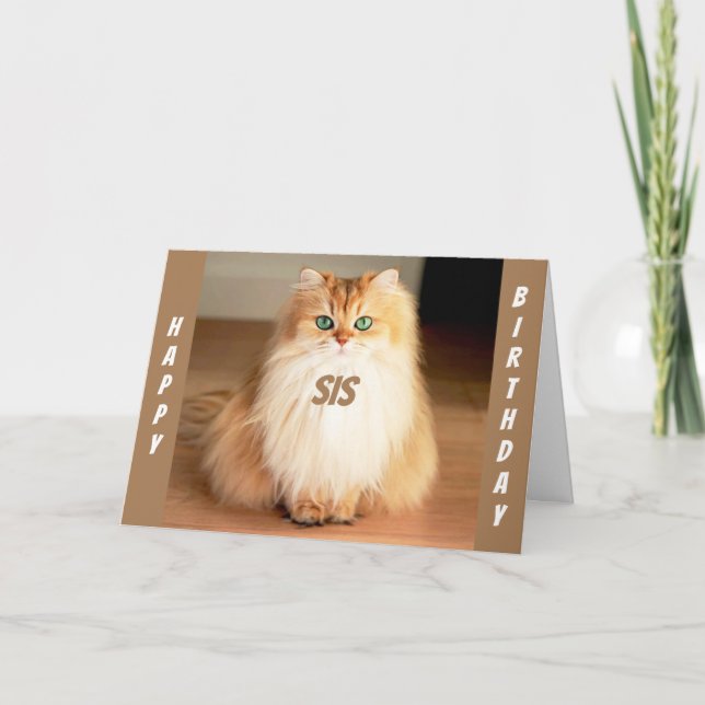 TARJETA **CELEBRAMOS A USTEDES SIS** DICE UN GATO OCULAR A (Anverso)
