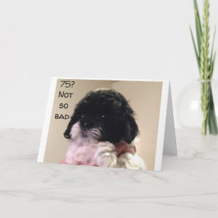 TARJETA CELEBRAMOS QUE "USTEDES" PARA TI SON **75** TARJET