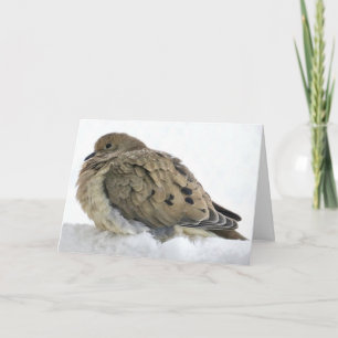 Tarjeta Celebrar a Cristo con Navidades Paz y Bendiciones