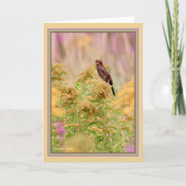 Tarjeta Celebren las aves-gays: ave negra de ala roja feme