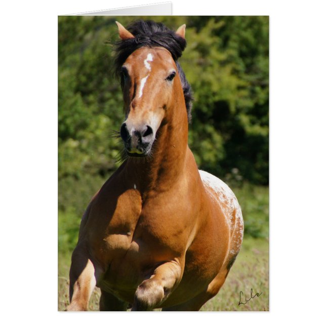 Tarjeta Celtic Flame (Frente)