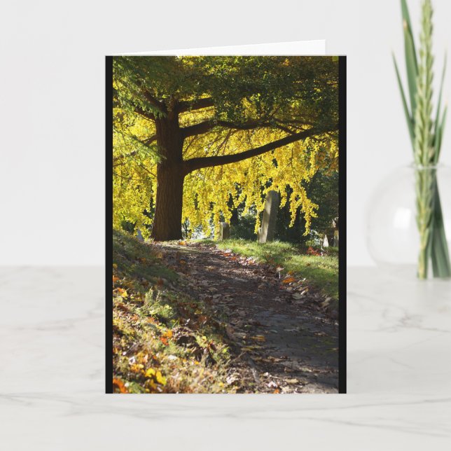 Tarjeta Cementerio de Bosque verde, Brooklyn, NY (Anverso)