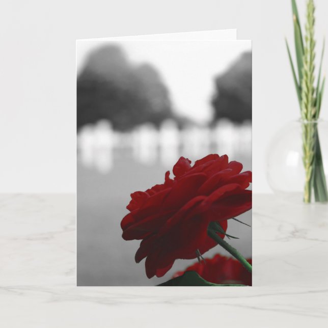 Tarjeta Cementerio y Rosa Roja - Día de la Conmemoración (Anverso)