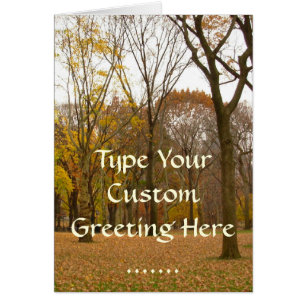 Tarjeta Central Park New York Souvenir Card