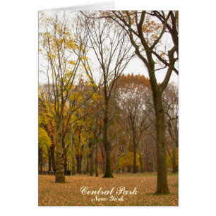Tarjeta Central Park New York Souvenir Card