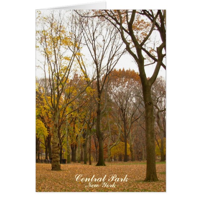 Tarjeta Central Park New York Souvenir Card (Frente)