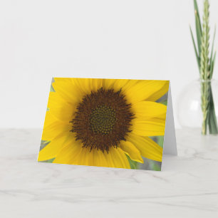 Tarjeta Centro de la oscuridad del girasol