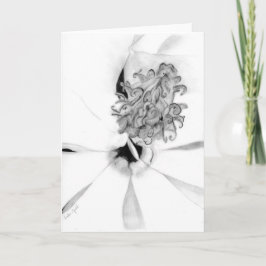 Tarjeta Centro de Magnolia