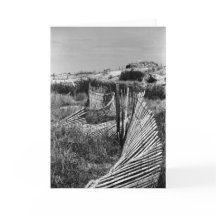 Cerca de la duna de la bobina