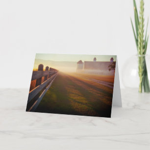 Tarjeta Cerca de niebla de la granja el   de la mañana en