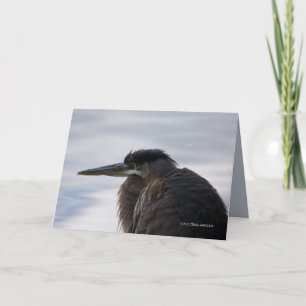 Tarjeta Cerca de una garza