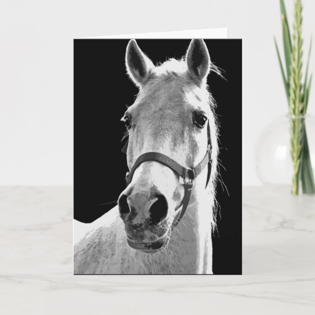 Tarjeta Cerco del caballo blanco negro en la noche (Anverso)