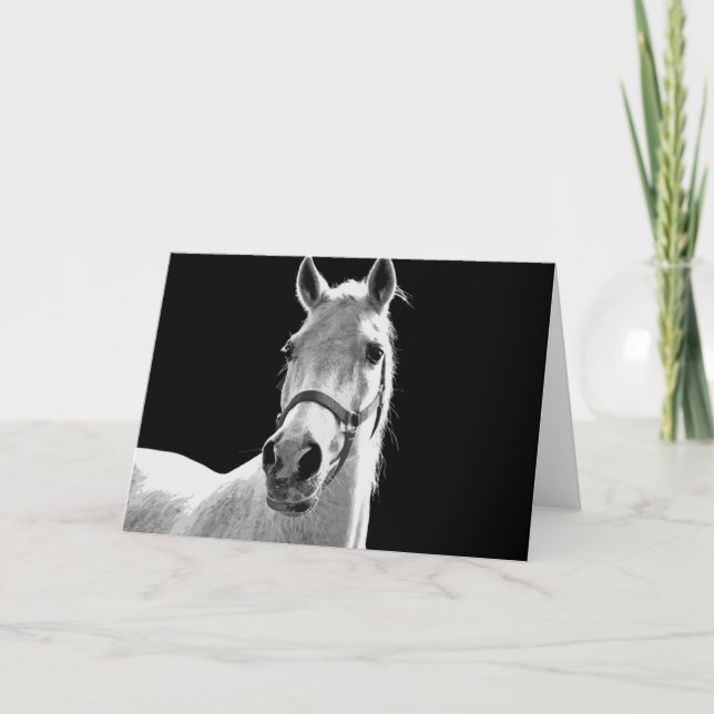 Tarjeta Cerco del caballo blanco negro en la noche (Anverso)