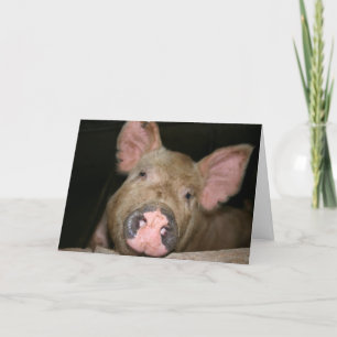 Tarjeta Cerdito Rosa