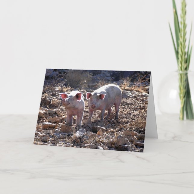 Tarjeta Cerdo (Anverso)
